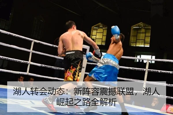 湖人转会动态：新阵容震撼联盟，湖人崛起之路全解析